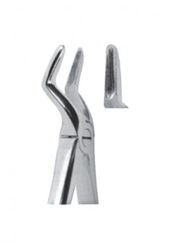 Extracting Forceps